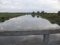 Narew