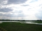 Starorzecze Bronowo