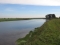 Narew