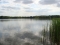Jezioro Czarne Sosnowickie