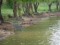 Radutalake w Suralesti w Rumunii cz. 2/4