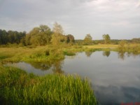 widok z mostu  na lewa częsć rozlewiska