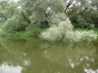 Widok z opisywanego zakrętu