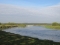 Narew