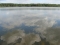 Jezioro Czarne Sosnowickie