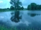 Staw prywatny
